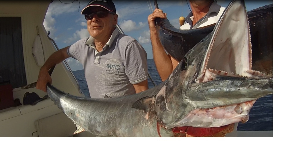 EL CURRICAN DE COSTA EN LANZAROTE - Rubicon Fishing Charter Lanzarote